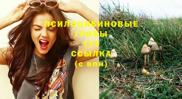 героин Алзамай