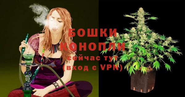 мяу мяу мука Няндома