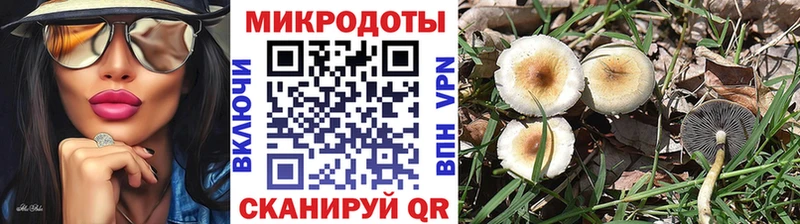 Псилоцибиновые грибы прущие грибы Галич